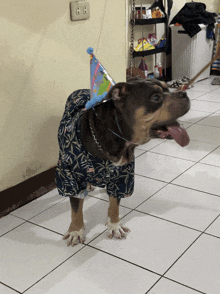 a dog wearing a party hat and a shirt is standing on a tiled floor