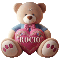 a teddy bear with the name rocio on a pink heart