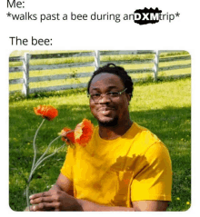 a man in a yellow shirt is holding a vase of flowers with a caption that says the bee .