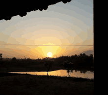 a sunset over a body of water with a tree in the foreground