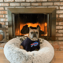 a dog wearing a buffalo bills shirt is sitting in a dog bed in front of a fireplace