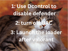 a cat with instructions on how to use dcontrol to disable defender and turn off uac