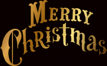 merry christmas is written in gold on a dark background