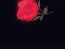 a red rose with green leaves is glowing in the dark against a black background .