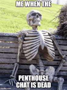 a skeleton is sitting on a wooden bench with a meme that says me when the penthouse chat is dead