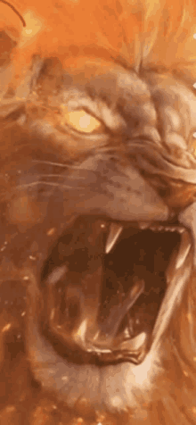 a close up of a lion 's face with its mouth open .