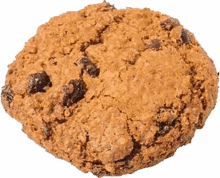 a close up of an oatmeal cookie with chocolate chips