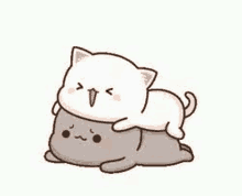 a cartoon cat is laying on top of another cat .