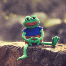 a stuffed frog is sitting on a rock wearing a blue shirt