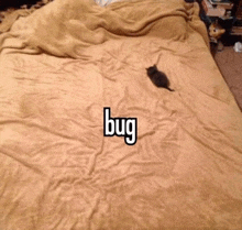 a cat is laying on a blanket with the word bug written on it