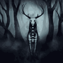 a drawing of a deer with a skull and skeleton