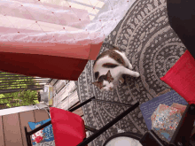 a cat laying on a rug with a pillow that says " i love you "