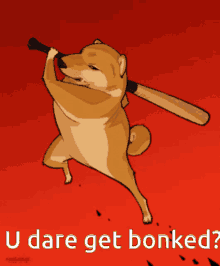 a picture of a dog holding a baseball bat with the words u dare get bonked below it