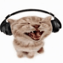 a kitten wearing headphones with its mouth open and its eyes closed .