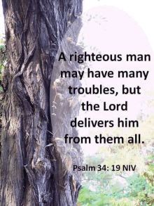 a tree with a quote from psalm 34-19 niv