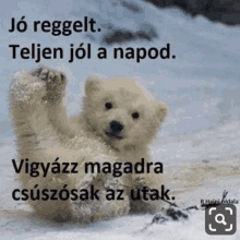 a polar bear cub is laying on its back in the snow with a caption in a foreign language