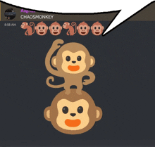 a screenshot of a discord channel with a speech bubble that says chaosmonkey