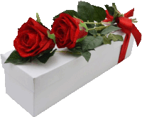 a white box with two red roses in it