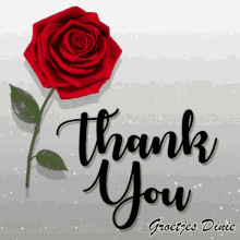 a thank you card with a red rose in the background