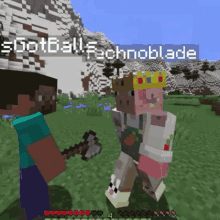 two minecraft characters standing next to each other with the name technoblade on the bottom right