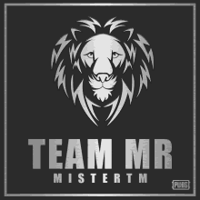 team mr mistertm logo with a lion on it