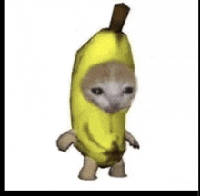 a cat is wearing a banana costume and walking .