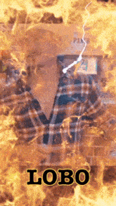 a man in a plaid shirt is surrounded by flames and the word lobo is on the bottom