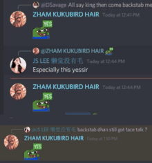 a screenshot of a discord conversation between zhan kukubird hair and dsavage