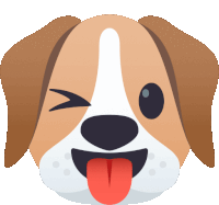 a brown and white dog with its tongue out winks at the camera