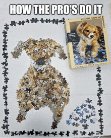 a picture of a dog made out of puzzle pieces next to a box that says how the pros do it