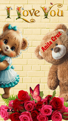 a teddy bear with anita cruz written on its face