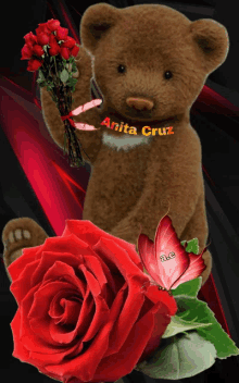 a teddy bear is holding a bouquet of red roses and has the name anita cruz written on his neck