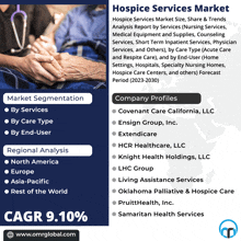 a flyer for hospice services market shows a nurse holding a patient 's hands