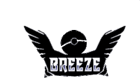 a logo for a company called breeze with wings and a ball