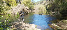 a man stands on a rock near a river with two dogs