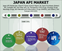 a graphic showing the japan api market size and share & trends analysis report