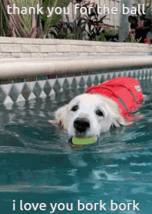 a dog is swimming in a pool with a tennis ball in its mouth and the words thank you for the ball i love you bork bork