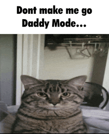 a cat is sitting on a bed with the words " dont make me go daddy mode " written above it