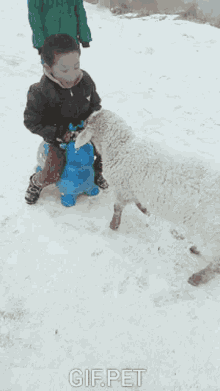 a child sitting on a blue stool looking at a sheep in the snow with gif.pet written on the bottom