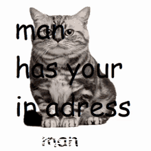 a cat with the words " man has your in address " written below it