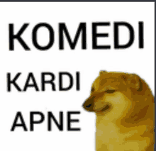 a dog is standing in front of a sign that says komedi cardi apne .