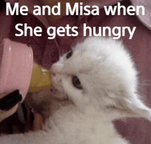 a white kitten drinking from a pink bottle with the words me and misa when she gets hungry