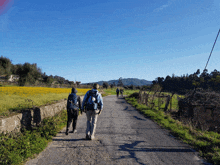 a group of people walking down a dirt road