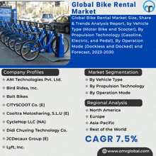 a flyer for the global bike rental market shows a row of blue bikes