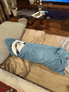 a cat wrapped in a blue shark blanket is laying on a couch