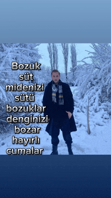 a man in a black coat and scarf stands in a snowy forest