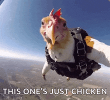 a chicken is flying through the air with the words " this one 's just chicken " below it