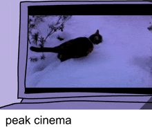 a picture of a cat in the snow with the words peak cinema below it