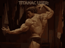 arnold schwarzenegger flexing his muscles with the words titanac user written above him