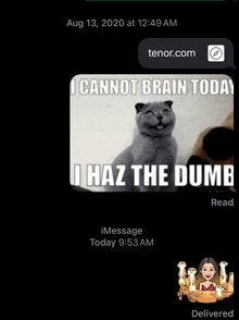 a screenshot of an imessage that says i cannot brain today i haz the dumb